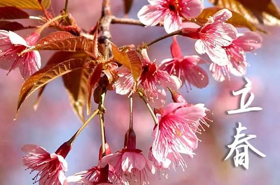 立春节气的诗词