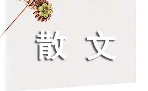 阳光温暖,岁月静好散文
