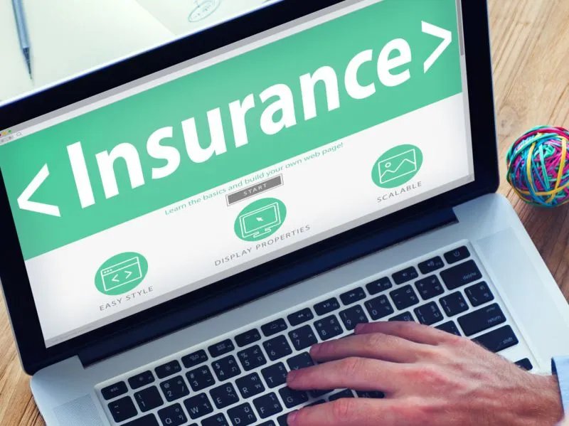 对眼睛好的桌面背景有哪些