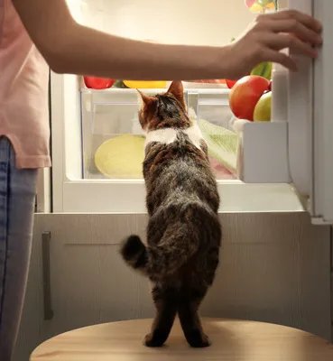 拜月瑜伽9式 治疗失眠助排毒