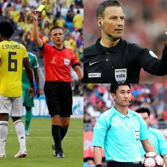 足协在中超动员会上宣布2019赛季将推出职业裁判制度，你觉得这样能避免黑哨？