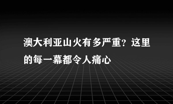 澳大利亚山火有多严重？这里的每一幕都令人痛心