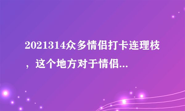 2021314众多情侣打卡连理枝，这个地方对于情侣来说意味着什么？