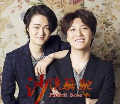 沙漠骆驼歌词是什么意思：沙漠骆驼歌词怎么读