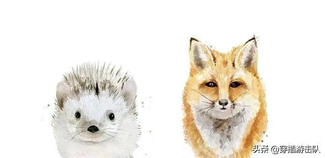 美国总统竞选之战,为什么打进法院靠诉讼解决?