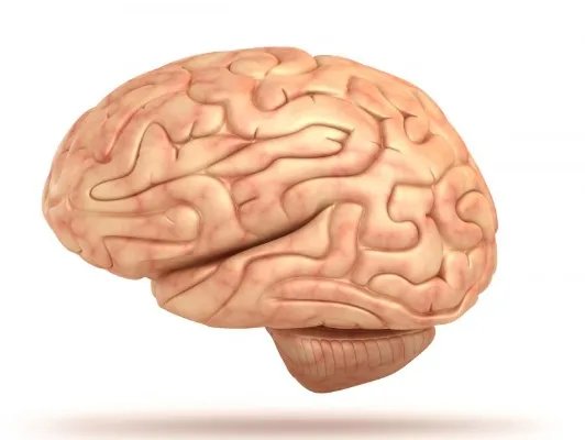 复方薄荷脑软膏是什么