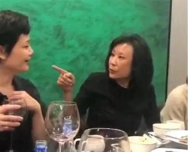 苏小明是苏振华的女儿吗 苏小明杨烁是什么关系