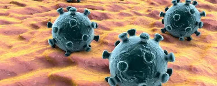 韩国首都圈聚集性感染频发,这几天一共确诊多少病例?