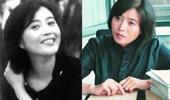 丁嘉丽年轻时候图片,丁嘉丽老公是谁