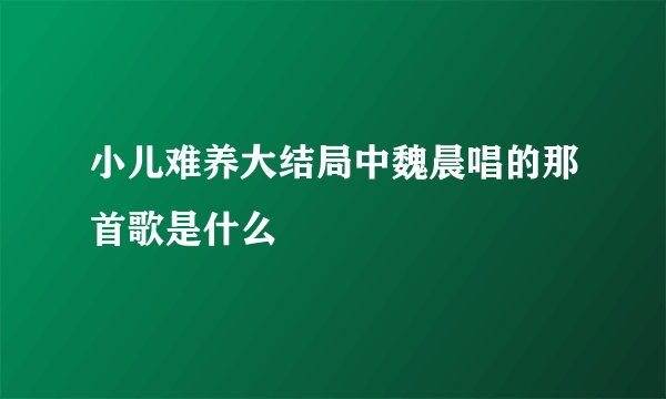 小儿难养大结局中魏晨唱的那首歌是什么