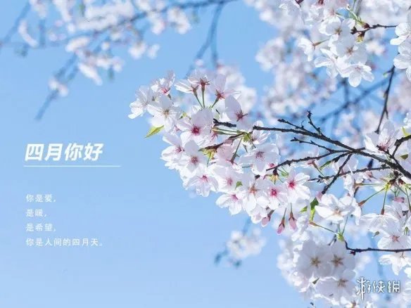 四月图片大全 2021四月图片有哪些