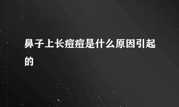 鼻子上长痘痘是什么原因引起的 