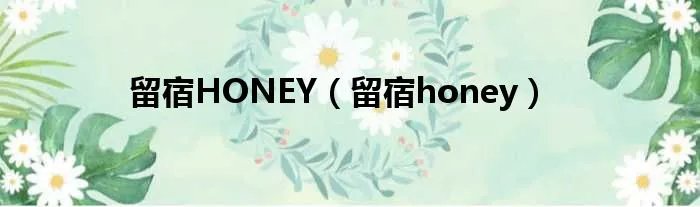 留宿HONEY（留宿honey）