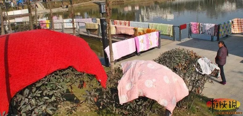 晒没?盘点“中国式晾晒”比“过马路”更壮观