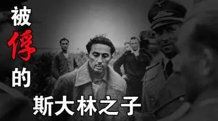 津渊美智子的个人生平