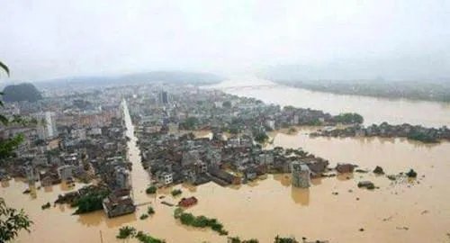 23年前洪水中抱树女孩成为警察，她为何会选择当一名人民警察？