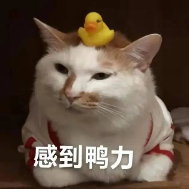 英语四级刚过线影响保研吗？