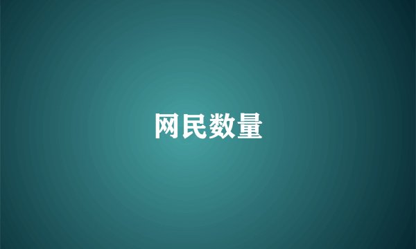 网民数量