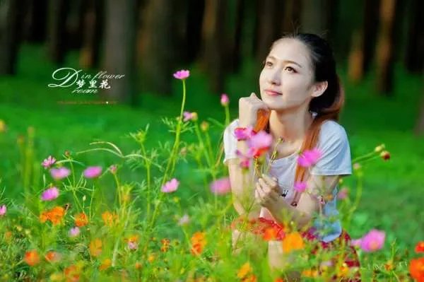 梦里花   的歌词。