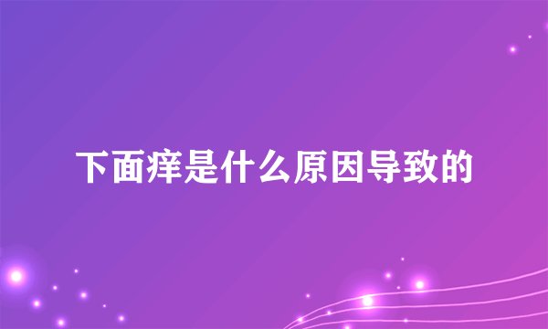 下面痒是什么原因导致的