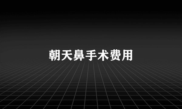 朝天鼻手术费用