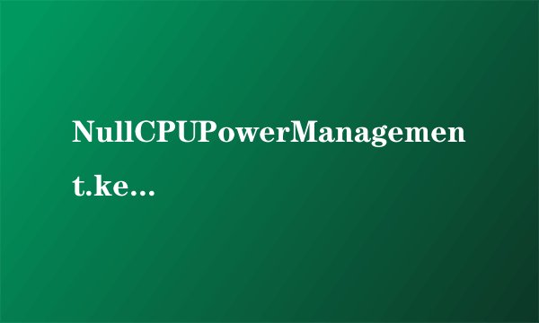 NullCPUPowerManagement.kext 是文件还是文件夹