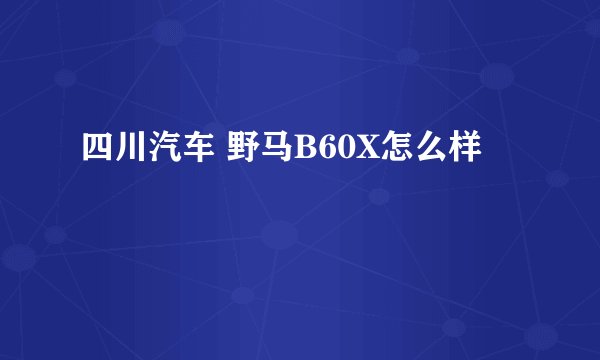 四川汽车 野马B60X怎么样