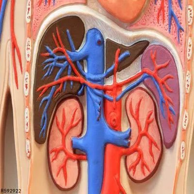 横纹肌肉溶解症有什么症状