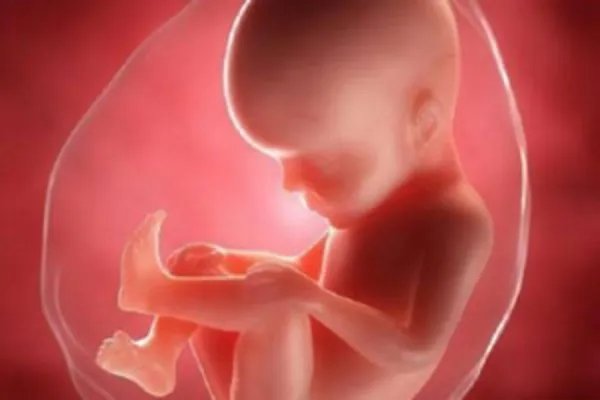 100%生女儿的症状