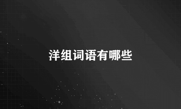 洋组词语有哪些