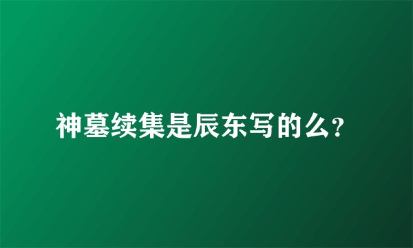 神墓续集是辰东写的么？