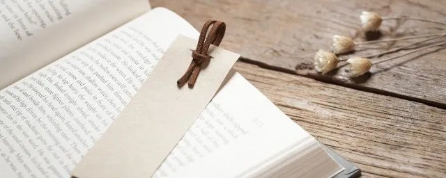 拍驴屁是什么意思