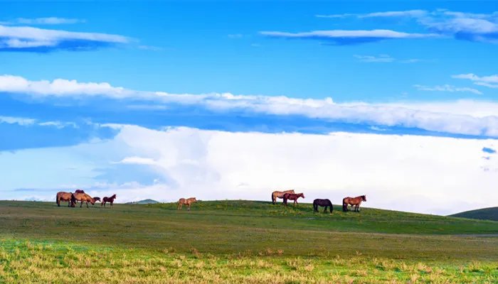 乌兰木通是现在的哪个城市 乌兰木通在哪里