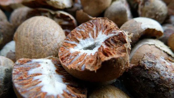 吃槟榔的好处与坏处是什么