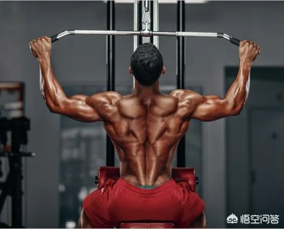 练背可以天天练吗