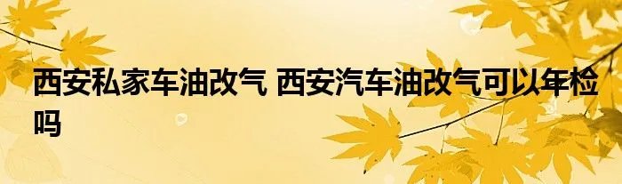 西安私家车油改气 西安汽车油改气可以年检吗