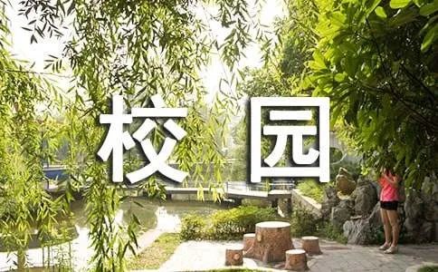 我的校园作文500字