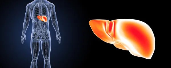 什么是乙肝小三阳