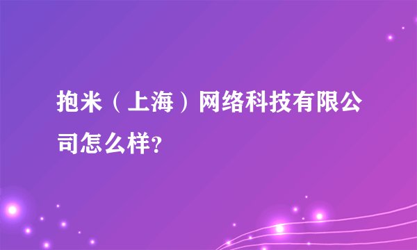 抱米(上海)网络科技有限公司怎么样?