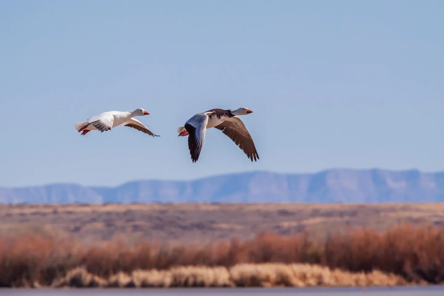 十大优美的中文名及其背后的含义 了解最好听的中文名