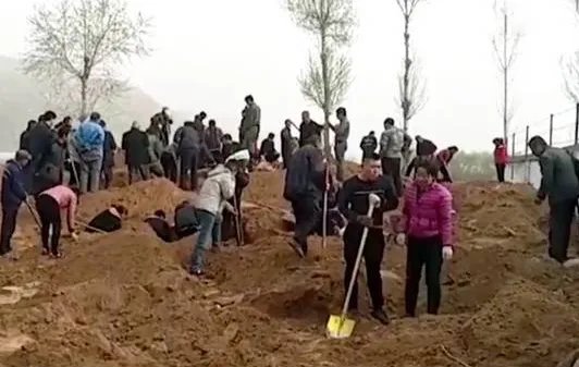 种树挖出银元村民集体淘宝为何空欢喜？