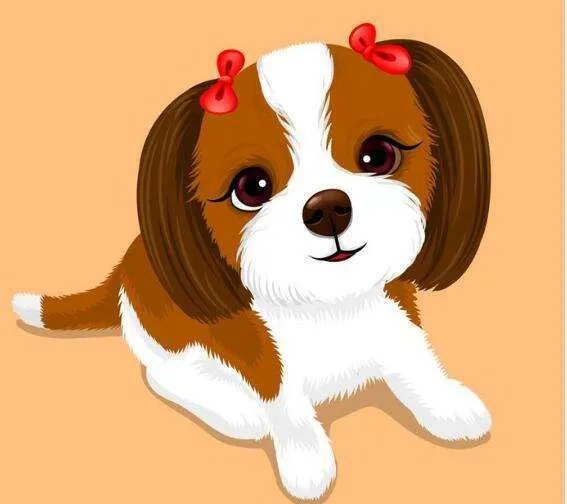 94年的今年多大 94年属什么