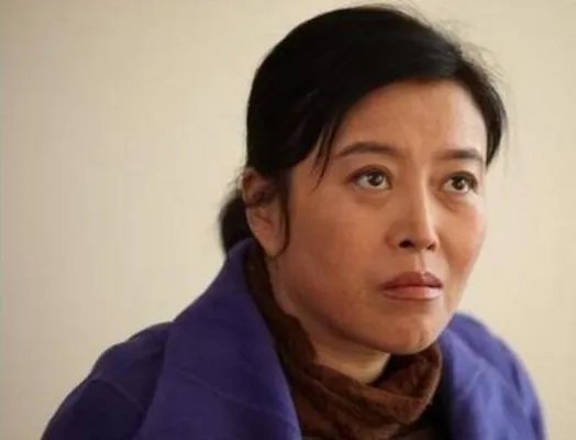 安家房似锦妈妈结局是什么 房似锦妈妈扮演者个人资料介绍