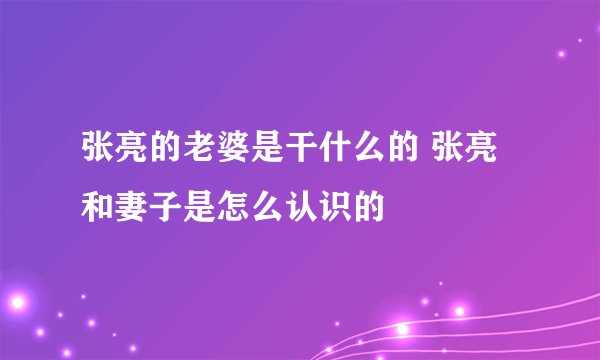 张亮的老婆是干什么的 张亮和妻子是怎么认识的