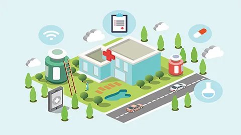 笋的营养价值及功效