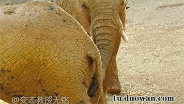 丧病的男女双修方式 午间动态图送到