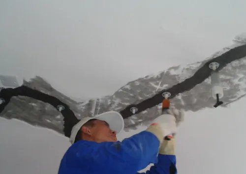 灌浆是什么意思