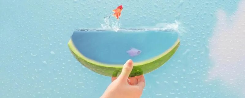 临渊羡鱼下一句是什么