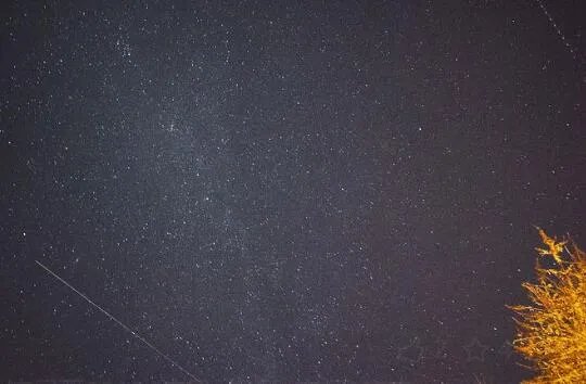 流星雨2020年8月什么时候出现 今年8月流星雨的具体时间表