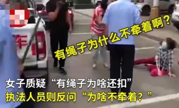 遛狗不拴绳狗被暂扣主人大哭 400多万网友点赞支持